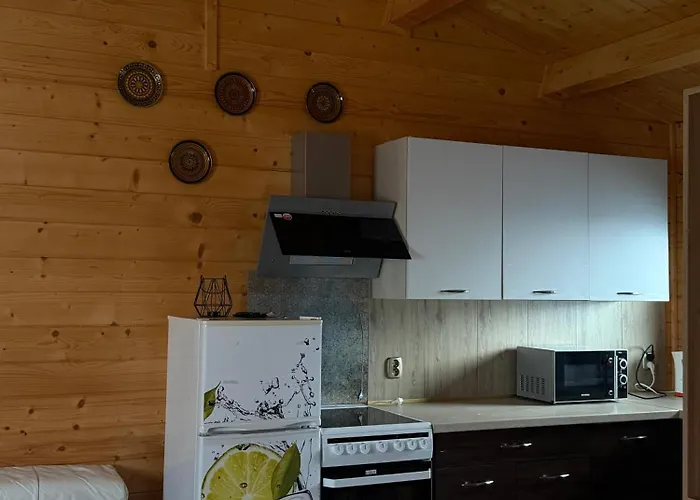 Lejlighed Drewniany Piekielnik